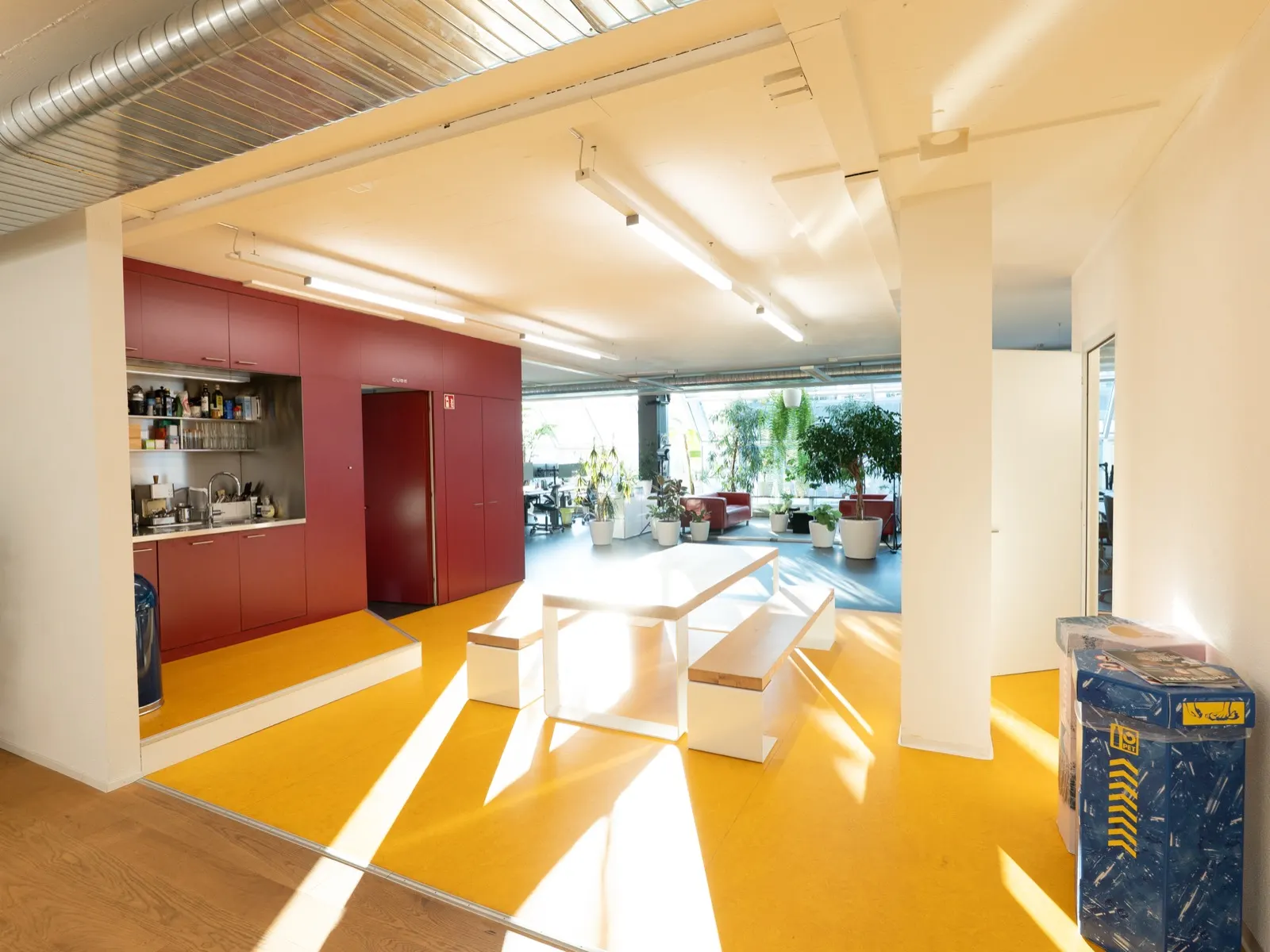 Kitchen and lounge